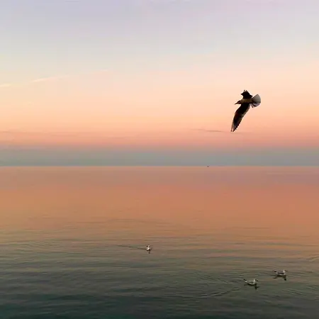 Romai Haz Siófok