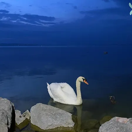 Romai Haz Siófok